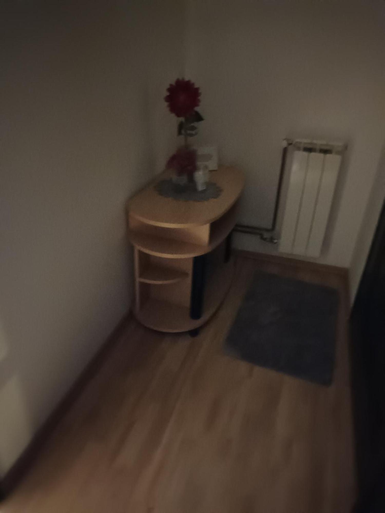Studio Apartman Salopek Ogulin Exterior foto
